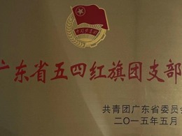2015年5月广东省五四红旗团支部
