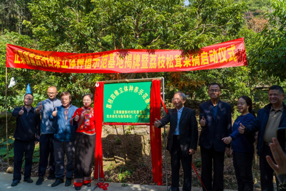 正果镇畲族村四维立体种养示范基地揭牌暨红松茸采摘启动仪式圆满举行